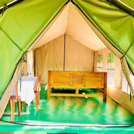 Hotel Eden Yala Zewnętrze zdjęcie