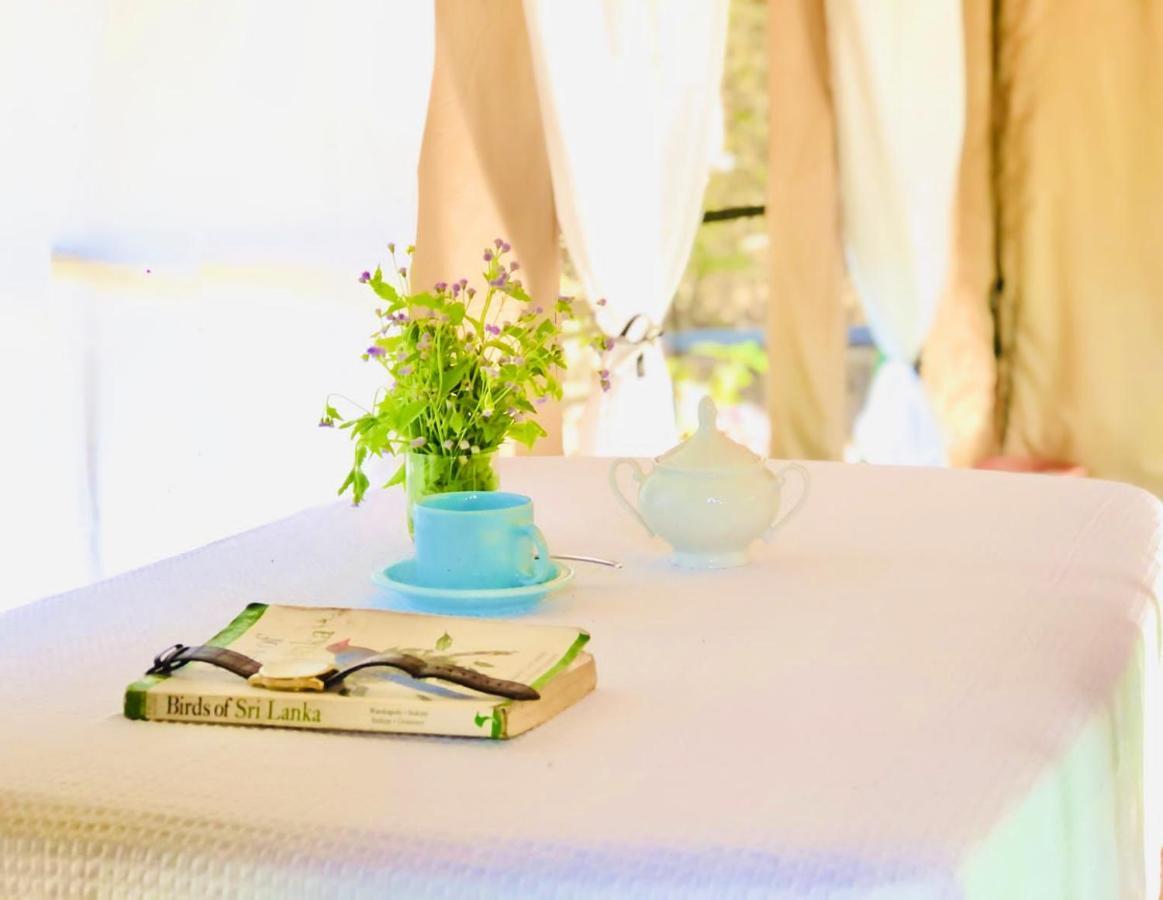 Hotel Eden Yala Zewnętrze zdjęcie