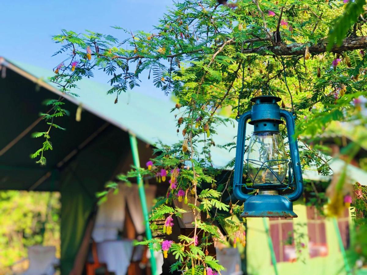 Hotel Eden Yala Zewnętrze zdjęcie