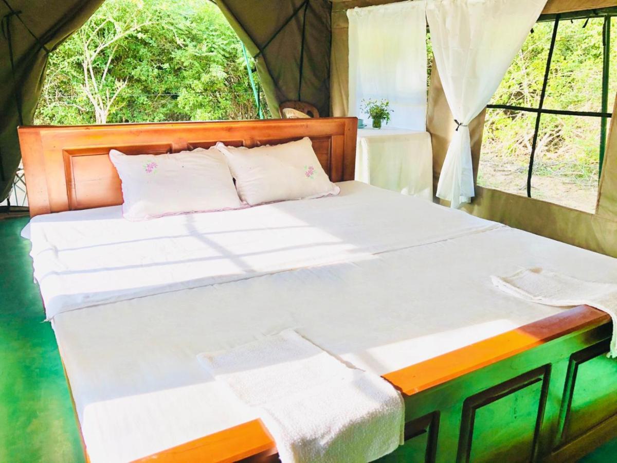 Hotel Eden Yala Zewnętrze zdjęcie