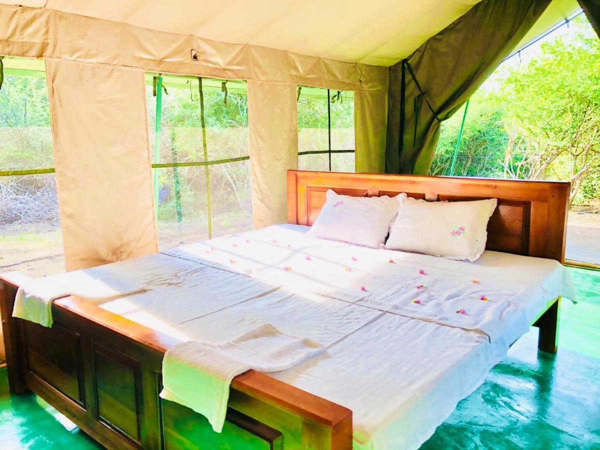 Hotel Eden Yala Zewnętrze zdjęcie
