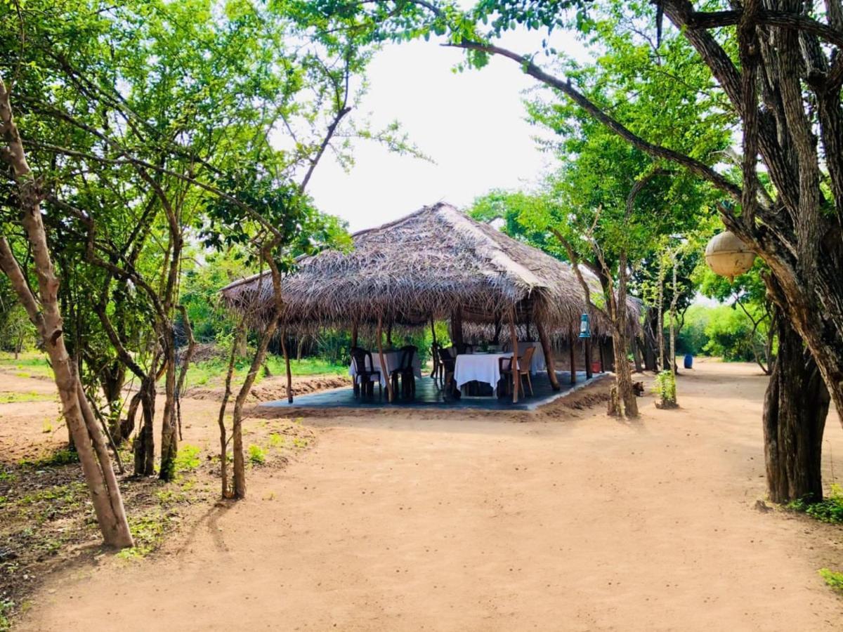 Hotel Eden Yala Zewnętrze zdjęcie