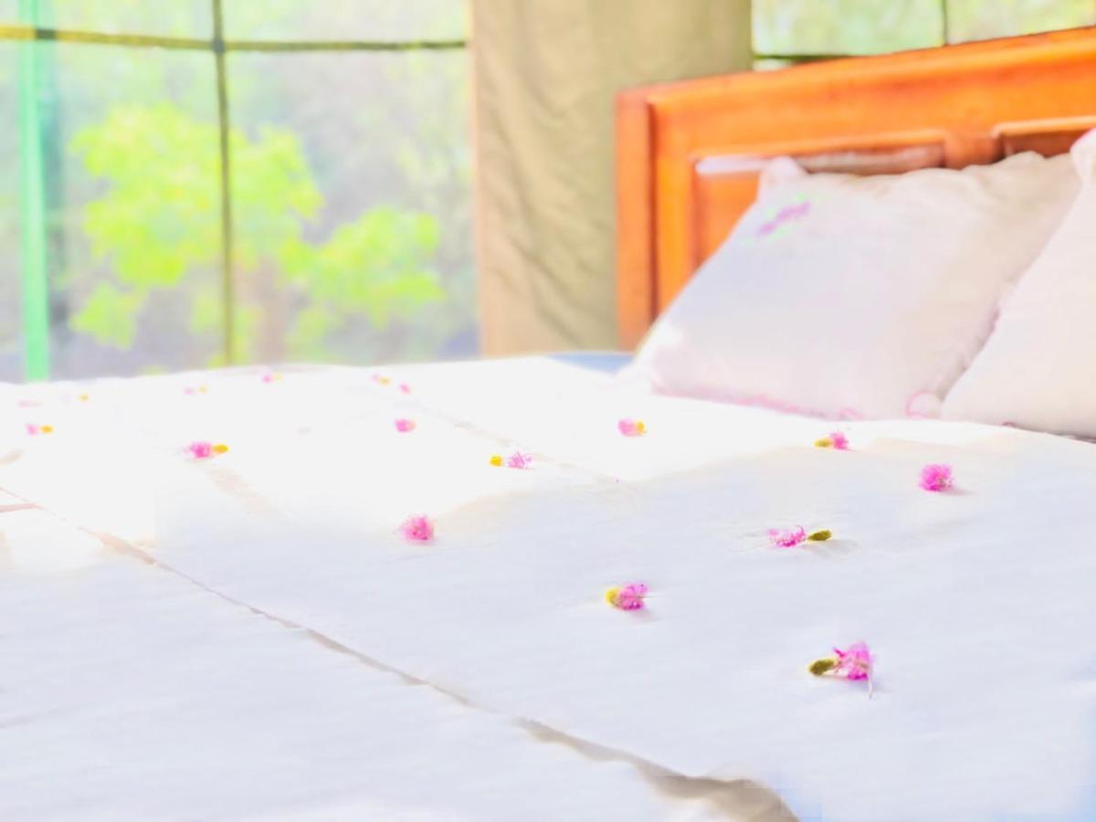 Hotel Eden Yala Zewnętrze zdjęcie