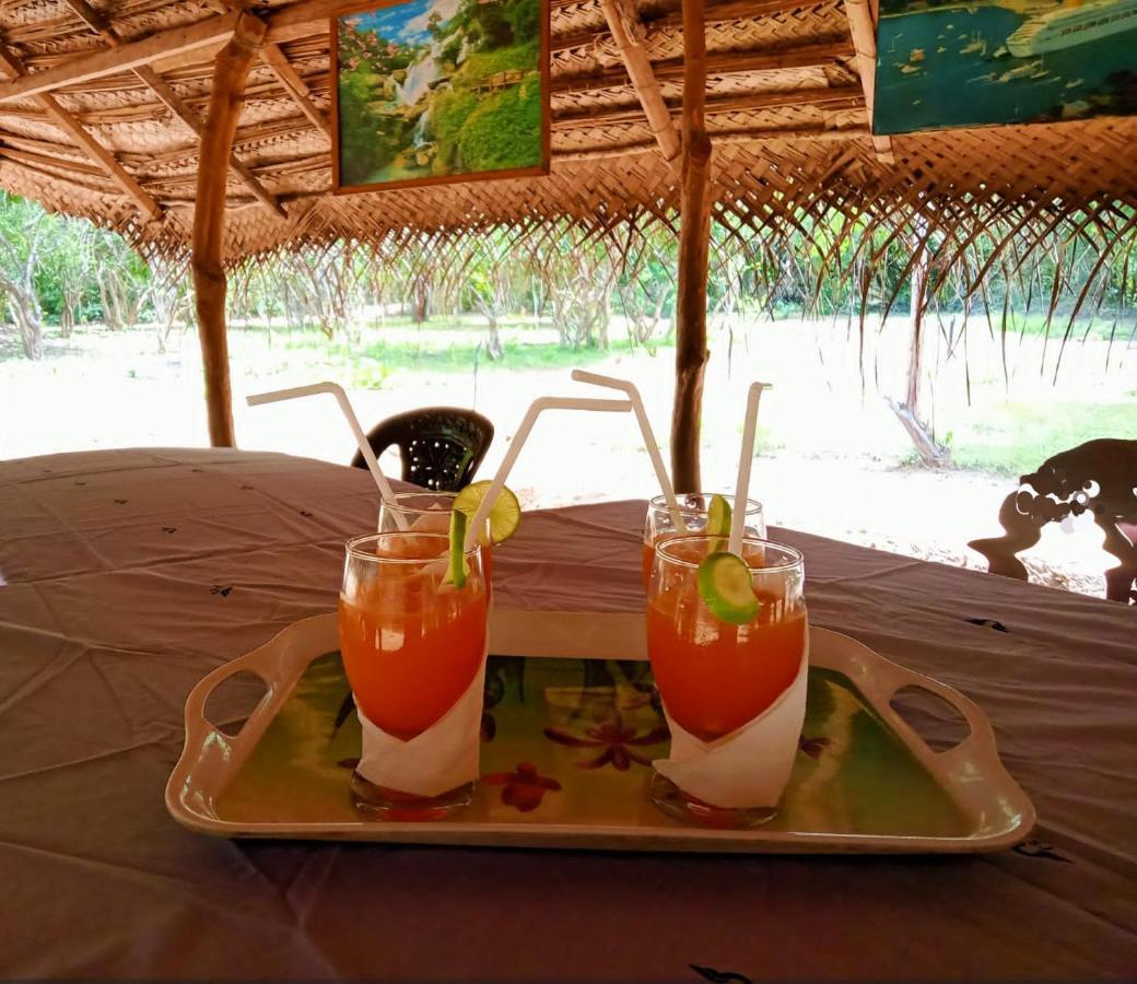 Hotel Eden Yala Zewnętrze zdjęcie