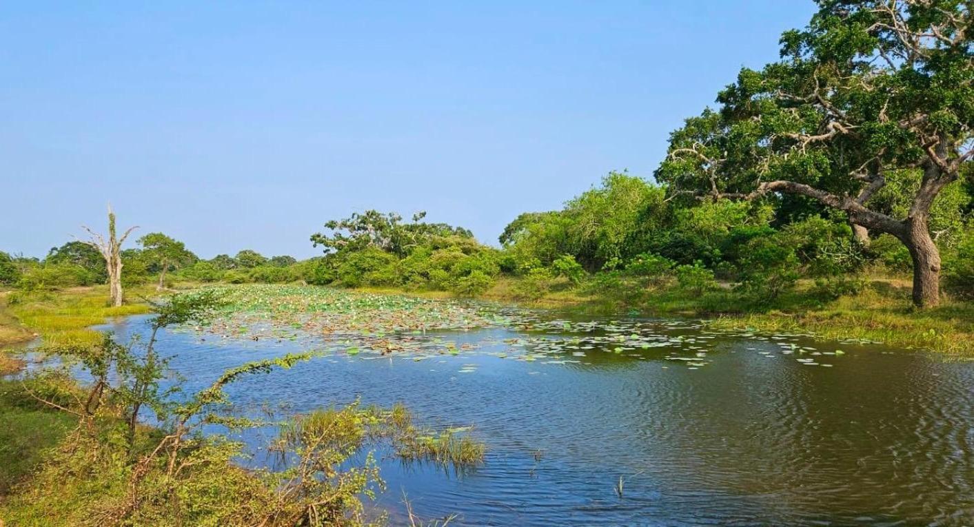 Hotel Eden Yala Zewnętrze zdjęcie