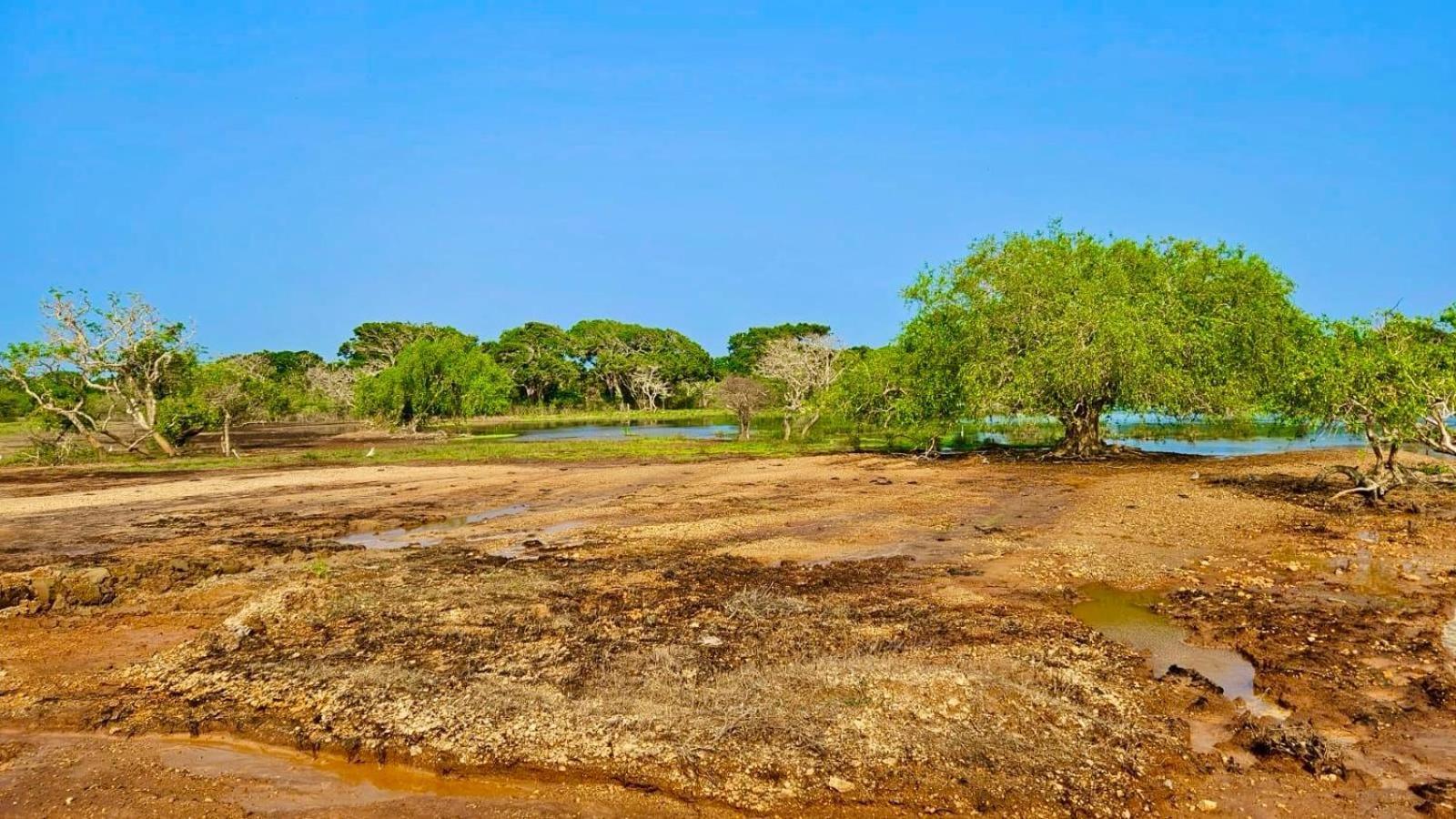 Hotel Eden Yala Zewnętrze zdjęcie